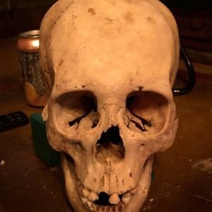 THE ILLUMINATI SKULL OF LAW